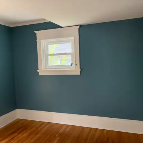Pro Painting Jr project photo 18
