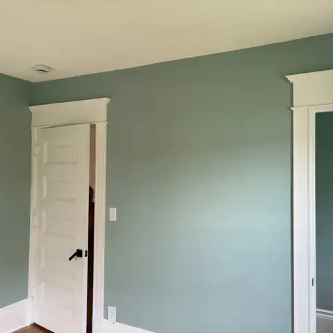 Pro Painting Jr project photo 19