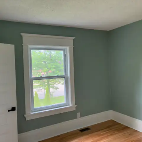 Pro Painting Jr project photo 17