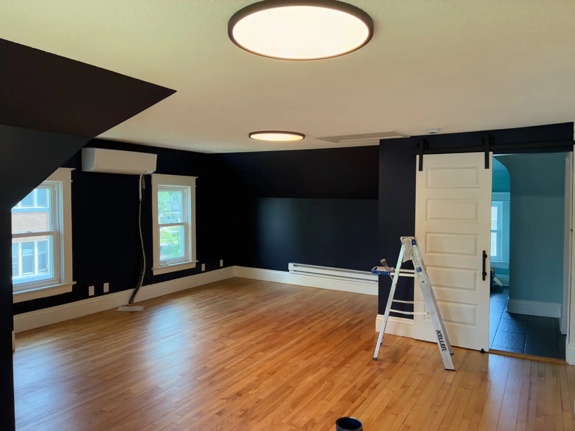Pro Painting Jr services